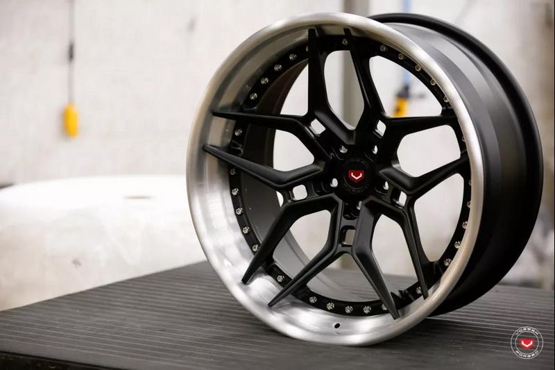 vossen 3.jpg